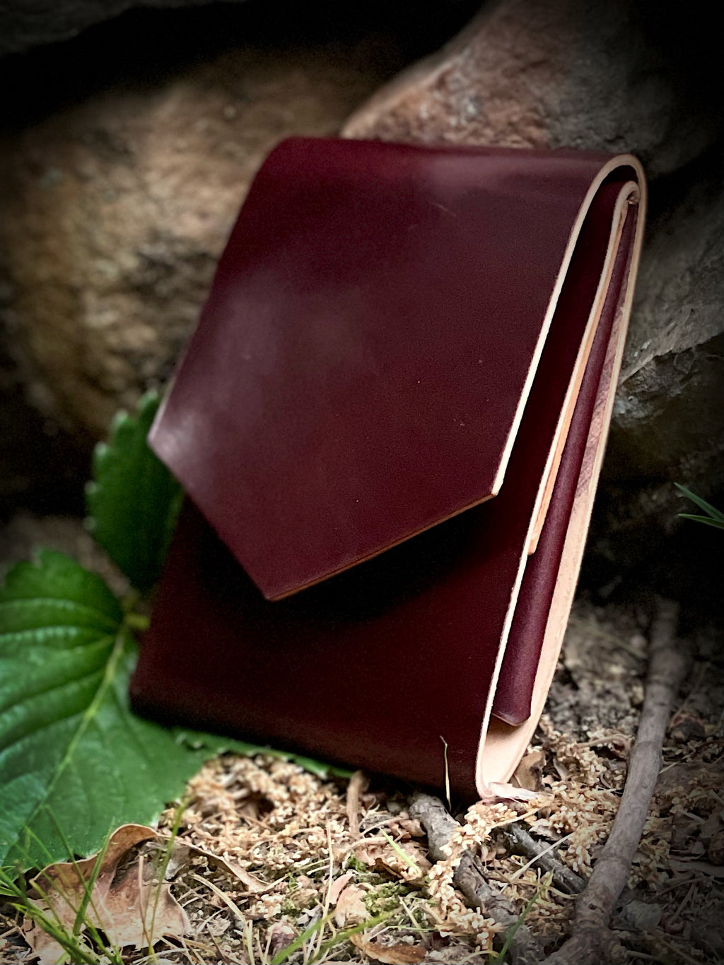 Enlight900_1024x.jpg?v=1686627053